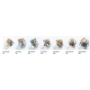 Embraced Series: Cursed Ship: RPG Dice Set (7pcs) - GGS50006ML [4251715404911]