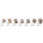 Embraced Series: Death Valley: RPG Dice Set (7pcs) - GGS50007ML [4251715404935]