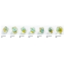 Embraced Series: Green Skull: RPG Dice Set (7pcs) - GGS50004ML [4251715404874]