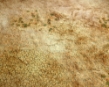 FLG Mats: Badlands 1 (8x4) - FLG8X4BADLA NDS1