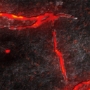 FLG Mats: Lava 1 (6x4) - FLG6X4LAVA1