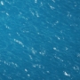 FLG Mats: Ocean 1 (6x4) - FLG6X4OCEAN1 [FLG6X4OCEAN1]