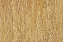 Woodland Scenics: Field Grass - Harvest Gold 