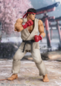 Figuarts: RYU: Outfit 2: "Street Fighter series" 