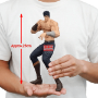 Fist of the North Star: Kenshiro - BPR71171 [4573102711717]