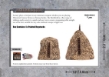 Battlefield in a Box: Haystacks - BB245 [9420020251618]