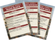 Flames of War: Race for Minsk Ace Campaign Card pack - FW266B [9420020251953]