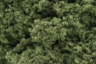 Woodland Scenics: Foliage Clusters- Light Green - WS57 [724771000570]
