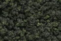 Woodland Scenics: Underbrush- Forest Blend (32oz Shaker) 