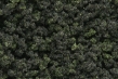 Woodland Scenics: Underbrush- Forest Blend (Small Bag) - WS139 WSCFC139 [724771001393]