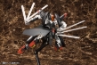 Frame Arms 1/100: RF-12 Wilber Nine:RE2 - KOTO-FA125 [190526037366]