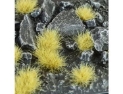 Gamers Grass: Dense Beige Tuft: Wild (6mm) 