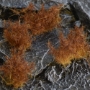 Gamers Grass: Spiky Brown Tuft: Wild XL (12mm) - GGRGGK-B GGK-B [738956789129]