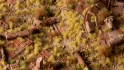 Gamers Grass: 2mm Tuft: Beige 