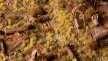 Gamers Grass: 2mm Tuft: Beige - GSG-GG2-BEI [738956790842]