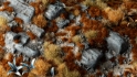 Gamers Grass: 2mm Tuft: Brown 