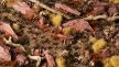 Gamers Grass: 2mm Tuft: Burned - GSG-GG2-BUR [738956790811]