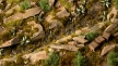 Gamers Grass: 2mm Tuft: Dark Moss - GSG-GG2-DMO [738956790866]