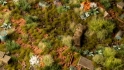 Gamers Grass: 2mm Tuft: Dry Green 