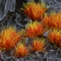 Gamers Grass: Alien Fire Tuft: Wild (6mm) - GSG-GGA-FT GGA-FT [738956789051]