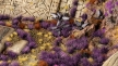 Gamers Grass: Alien Purple Tuft: Wild (6mm) - GSG-GGA-PU GGA-PU [738956790453]