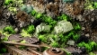Gamers Grass: Alien Toxic Tuft: Wild (6mm) - GSG-GGA-TX GGA-TX [738956790477]