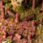 Gamers Grass: Basing Bits: Ancient Columns - GGBB-AC [738956791429]