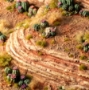 Gamers Grass: Basing Bits: Barrel Cacti - GGBB-BC [738956791436]