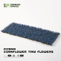 Gamers Grass: Cornflower Tiny Flowers 