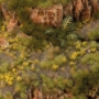 Gamers Grass: Dandelion Tiny Flowers - GGFS-DAN [738956791597]