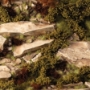 Gamers Grass: Dry Green Shrubs - GGFS-DRG [738956791665]