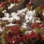 Gamers Grass: Laliguras Flowers - GGFS-LAL [738956791559]