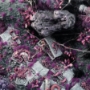 Gamers Grass: Purple Swarm Basing Box - GGSB-PSBB [738956791405]