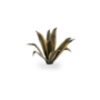 Gamers Grass: Laser Plants: Agave - GGLP-AG [738956790064]