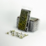 Gamers Grass: Laser Plants: Banana Tree - GGLP-BT [738956789990]