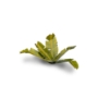Gamers Grass: Laser Plants: Banana Tree - GGLP-BT [738956789990]