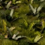 Gamers Grass: Laser Plants: Banana Tree - GGLP-BT [738956789990]