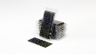Gamers Grass: Laser Plants: Black Magic Taro - GGLP-BMT [738956790132]