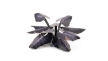 Gamers Grass: Laser Plants: Black Magic Taro - GGLP-BMT [738956790132]