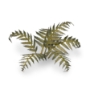 Gamers Grass: Laser Plants: Bracken - GSG-GGLP-GB GGLP-GB [738956790033]