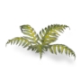 Gamers Grass: Laser Plants: Bracken - GSG-GGLP-GB GGLP-GB [738956790033]