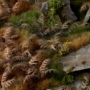 Gamers Grass: Laser Plants: Dry Bracken - GSG-GGLP-DB GGLP-DB [738956790040]