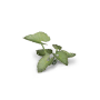 Gamers Grass: Laser Plants: Elephant Ear - GSG-GGLP-EE GGLP-EE [738956789983]