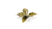 Gamers Grass: Laser Plants: Plantain Lily - GSG-GGLP-PL GGLP-PL [738956790125]