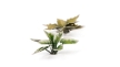 Gamers Grass: Laser Plants: Plantain Lily - GSG-GGLP-PL GGLP-PL [738956790125]
