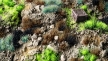Gamers Grass: Toxic Waste Tuft Set: Wild - GSG-GGSET-TW GGSET-TW [738956790507]