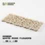 Gamers Grass: White Rose Flowers - GGFS-WR [738956791511]