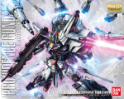 Gundam Master Grade (MG) 1/100: Providence Gundam Special Set 