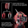 Gundam Seed Destiny Series HG 1/144: Z’GOK (SEED FREEDOM Ver.) - 5068342 [4573102683427]