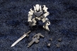 HEXA GEAR 1/24: Governor Armor Type: Pawn A1 Ver.1.5 -  KOTO-HG049 [4934054009589]